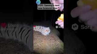 Famous THIS IS LITERALLY GONNA BE THE NEW BRAINROT- Profile