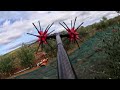 Maslinarski vlog 31.10.2025. - beremo Garmicu (Todolivo i-15) 💚