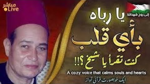 القرآن الكريم الشيخ محمود البجيرمي يتلو من سور الصف والقصار