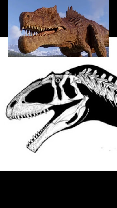 Allosaurus Turns into Giganotosaurus after Mewing #dinosaur #meme