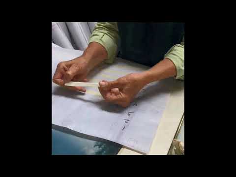 Elephant Skin Adhesion Test