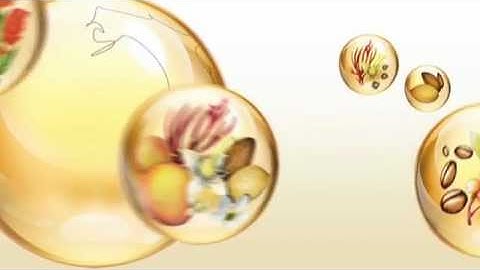 LYTESS Micro-Encapsulation