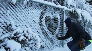 Snowy Fence Graffiti