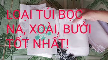 Lựa chọn túi bọc phù hợp cho Na thái, Xoài, Bưởi...