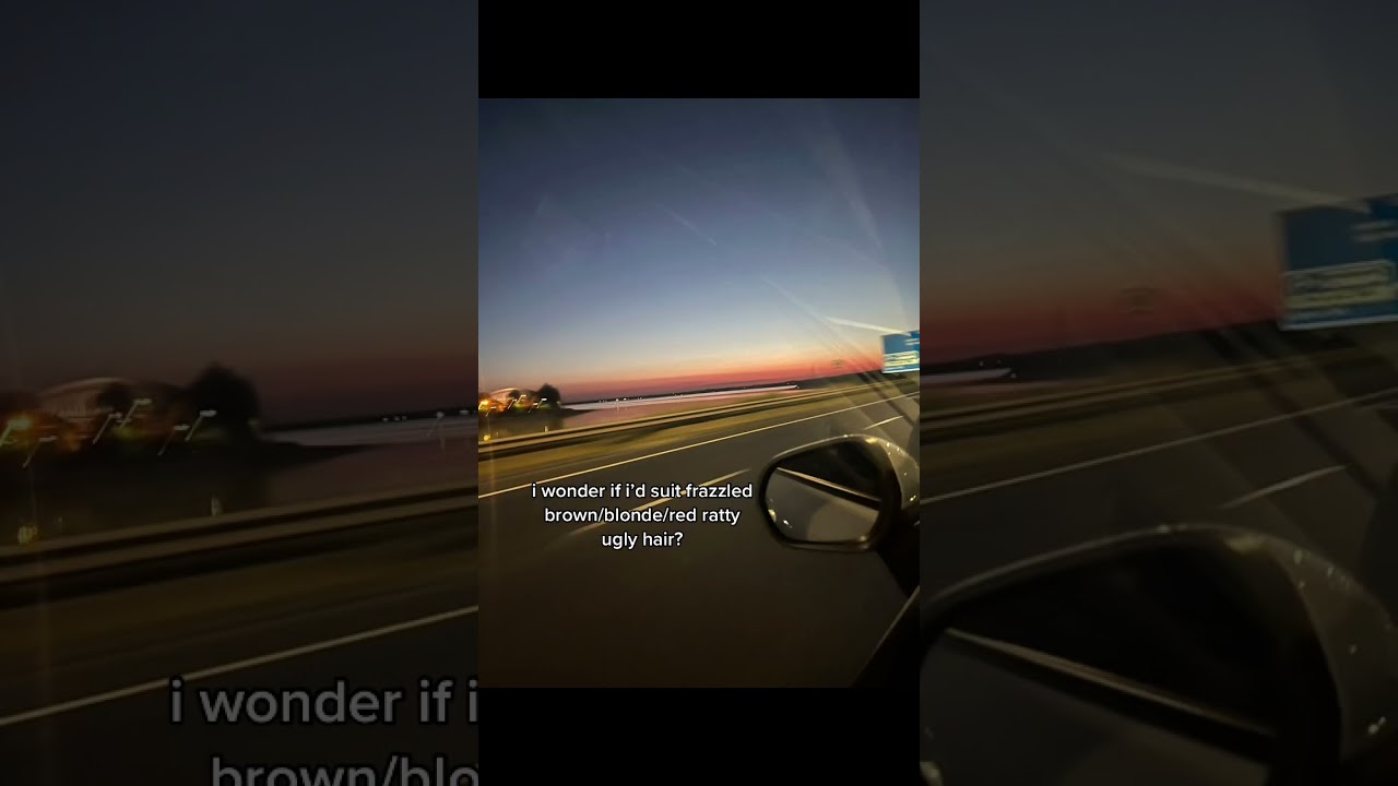 Finding harmony in friendship and partnership 