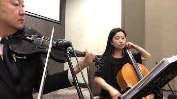 Canon in D Pachelbel excerpt