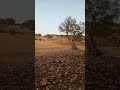 تبولعوانت إحاحان