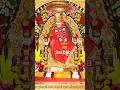 శ్రీ సచ్చిదానంద సద్గురు సాయినాథ్ మహారాజ్ కి జై # ఓం సాయి శ్రీ సాయి జయజయ సాయి # you tube shorts #