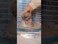 bhole Baba Aaj bhi akele Hain yah video viral ho jaaye##🚩🚩🕉️🕉️🔱🙏🙏🙏