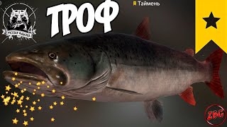 ТАЙМЕНЬ ТРОФ р. НИЖНЯЯ ТУНГУСКА ⭐ РУССКАЯ РЫБАЛКА 4 |  RUSSIAN FISHING 4🐟@Z-B-G