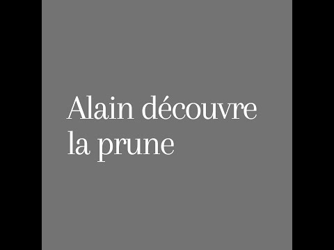 9 septembre : Alain et les prunes rouges