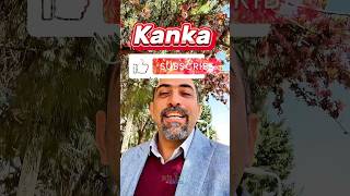 دو کلام ترکی با دیل ایسته مراحل دوستی و آشنایی