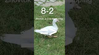 Download Mp3 ZHOVTOK JR 1 VS ZHOVTOK JR 2 #battle Gudang lagu Download Mp3 ZHOVTOK JR 1 VS ZHOVTOK JR 2 #battle
