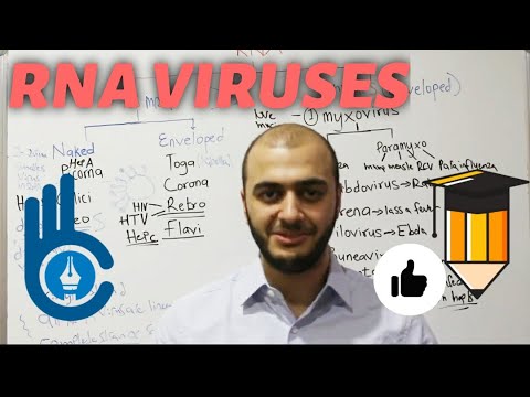 Microbiology | RNA VIRUS (PART 1) | HIGH YIELD - YouTube