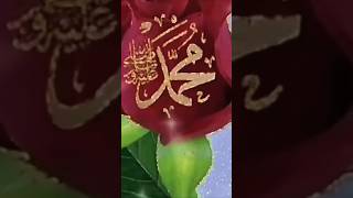 Mehboob Hai Kya salle alame Mohammed 🕋❤️❤️ #naat 🕋 #shortsviral
