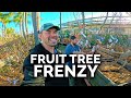 We Just Bought WAY Too Many Fruit Trees…