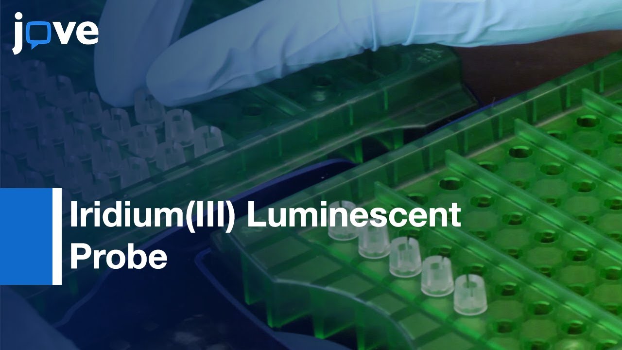 Detection Of Malarial Protein Biomarker Histidine Rich Protein-II l Protocol Preview