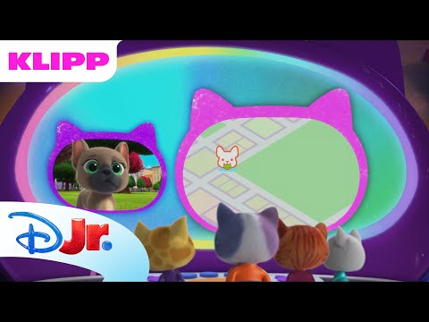 Hjälp hundvalparna | SuperKattungar | Disney Junior Sverige