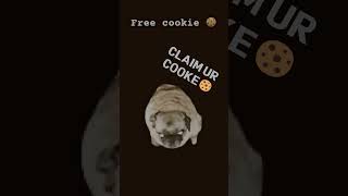 DONT SCROLL🚫#naoflopa #roblox #shorts