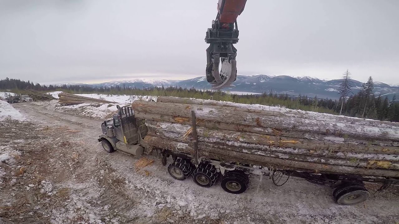 loading a logging truck in the bush - YouTube