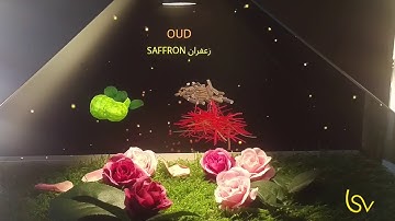 3D Hologram with gesture control