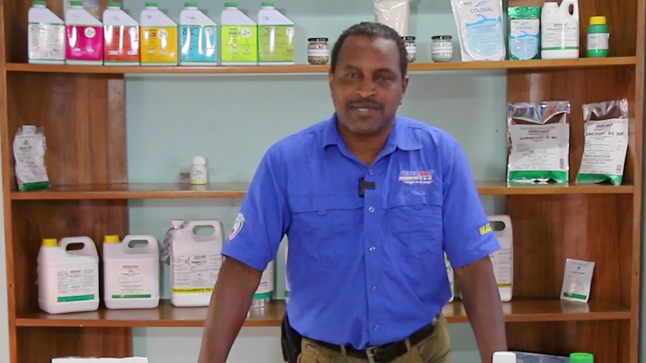 Fedecoop Fungicidas e insecticidas