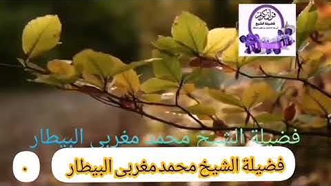 سورة الشمس من صلاة العشاء- الشيخ محمد البيطار