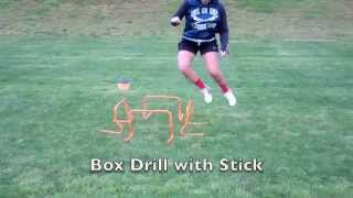 Mini Hurdle Drills