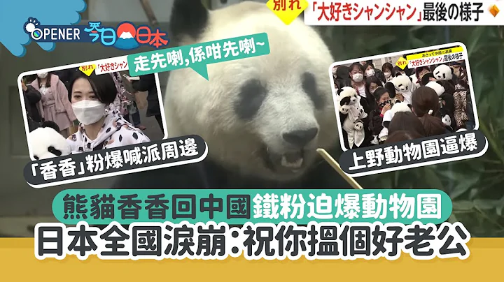 大熊猫「香香」回中国上野动物园迫爆  日本全国泪崩：嫁个好老公｜01 开罐｜日本熊猫 - 天天要闻