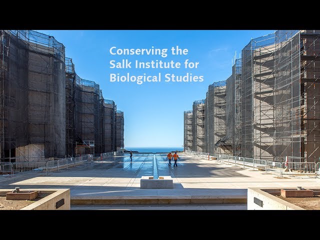 Salk Institute - Designing Buildings