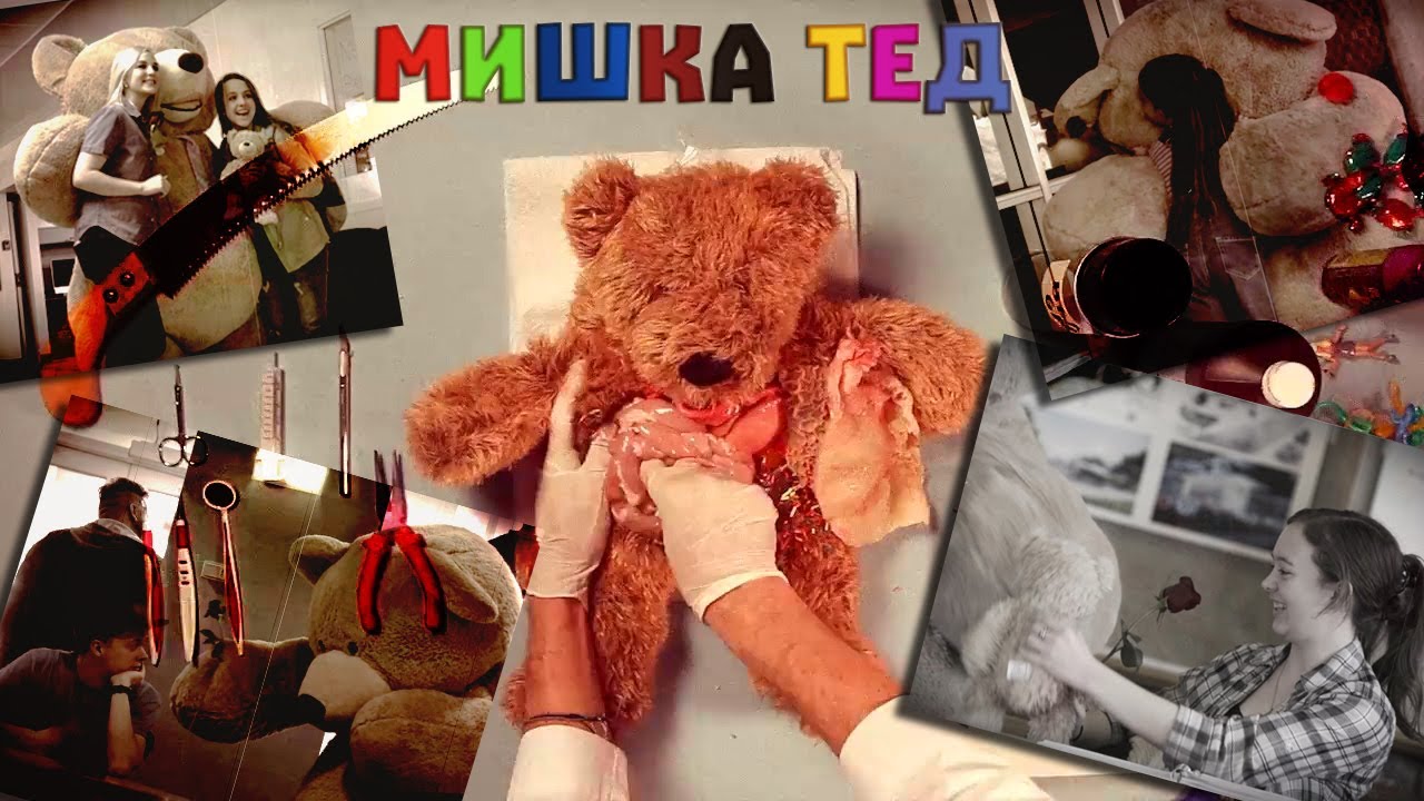 Клип мишка