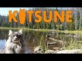 Siberian cat climbing trees and watching ducks at Lilly Pad lake