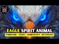 Eagle Spirit Animal -  Symbolism, Traits, and Mythology, Zodiac Associations