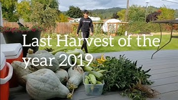 The last Harvest of the year 2019