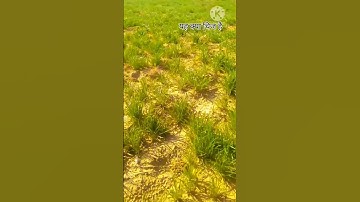 my first vlog 2023#myfirstvlogviral #myfirstvlog #dailyvlog #shorts #viral