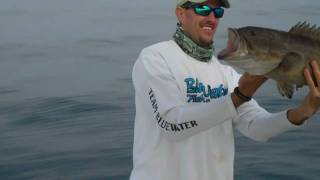How to Catch Grouper Using Swimbait
