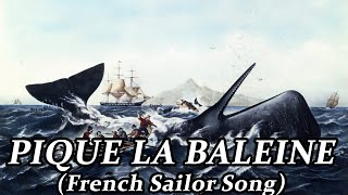 Pique la Baleine | French sailor song | Whale hunting song | Vox Aeterna