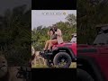 Safari Surprise Photobombed By A Lion Viral Funny Lion Safari Trending Youtubeshorts Trending 