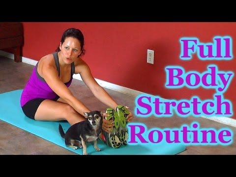 Full Body Stretch Routine | How To Test & Improve Flexibility For Beginners | Dena Maddie