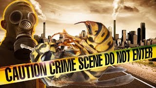 Famous Breaking end time signs: Insect APOCALYPSE is Coming! - Something Biblical & Prophetic is Happening! Net Worth