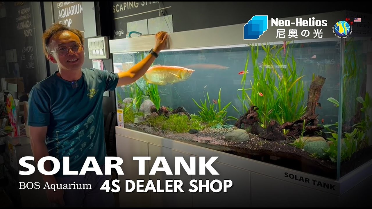 SOLAR TANK 4S DEALER | ft. BOS AQUARIUM