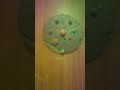 solar system 3D model #Majic of science #wow