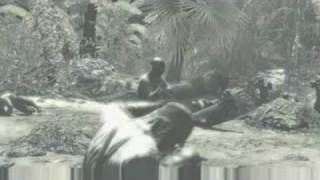 Call of Duty: World at War trailer/intro. Game released at: 11-11-2008.