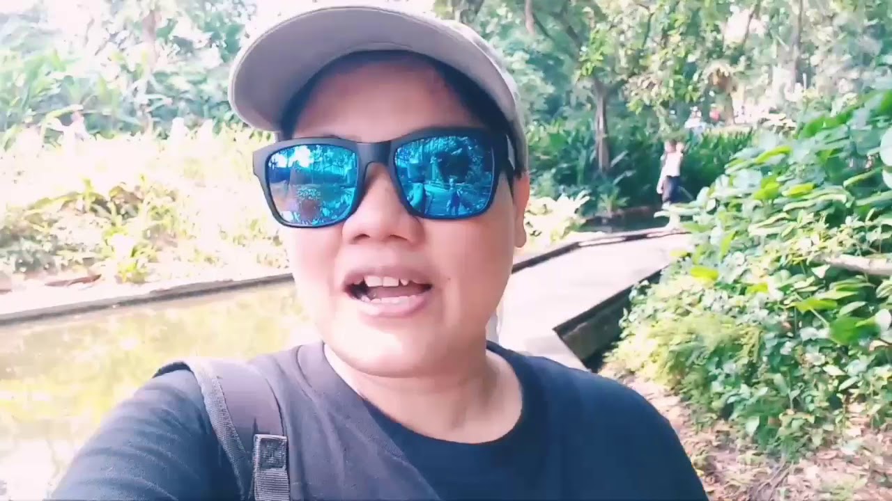 sharingbox Pasyal sa jurong bird park