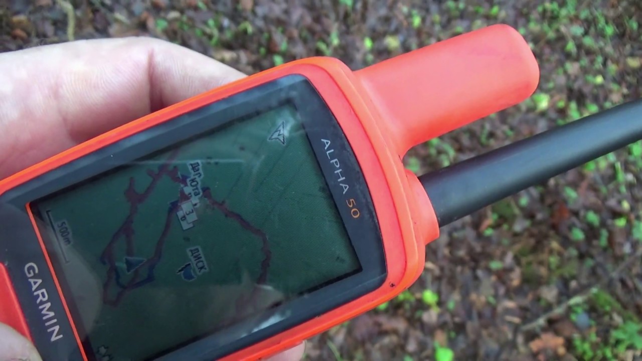 Дар поймал зайца! - YouTube