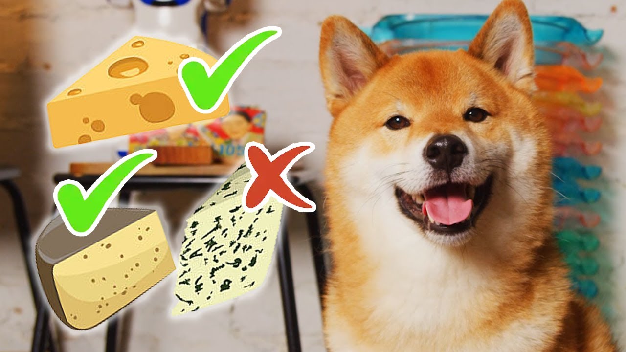 Tofu's Worlds of Foods - Cheese Review