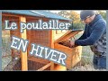 Poule pondeuse et poulailler l'hiver / astuce et soin