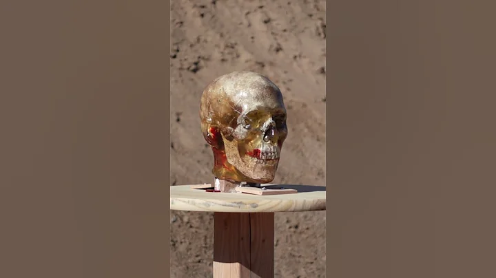 .45 ACP Self Defense Rounds #shorts #gun #handgun #pistol #rangeday #selfdefense