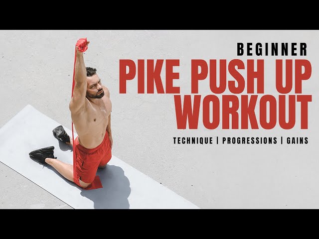 Blog – How to Handstand Push Up – Coach Bachmann