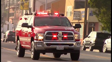 LAFD Battalion 13 Responding